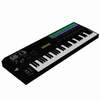 electrickeyboard2.JPG (43073 bytes)