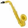 tenorsaxophone.JPG (1752 bytes)